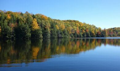 Lake shore lined with trees in the fall